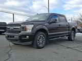 Certified 2019 Ford F150 XLT w/ Equipment Group 302A Luxury image 3
