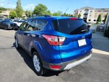 Used 2017 Ford Escape SE w/ SE Leather Comfort Package image 5