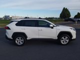 Certified 2021 Toyota RAV4 XLE image 3