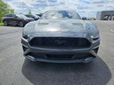 Used 2019 Ford Mustang Coupe w/ Ecoboost Performance Package image 2
