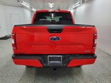 Used 2019 Ford F150 XLT image 5