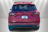 Used 2024 Ford Escape ST-Line w/ Tech Pack #1 image 4