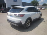 Used 2020 Ford Escape SEL image 6