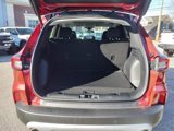 New 2025 Ford Escape Active w/ Active Premium Tech Pack image 5