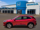 Used 2020 Ford Escape SEL image 3