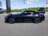 Used 2023 Ford Mustang Premium image 4