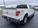 Used 2013 Ford F150 Lariat w/ Lariat Chrome Pkg image 4
