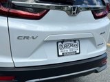 Used 2021 Honda CR-V Special Edition image 5
