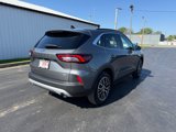 Used 2023 Ford Escape SE w/ PHEV Premium Package image 3