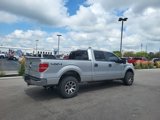 Used 2013 Ford F150 XLT w/ Luxury Equipment Group image 5