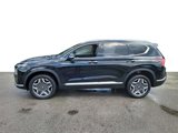 Used 2023 Hyundai Santa Fe Limited image 2