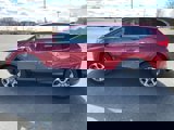 Used 2019 Honda CR-V EX-L image 5