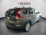 Used 2014 Honda CR-V EX-L image 5