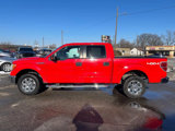 Used 2013 Ford F150 XLT w/ Luxury Equipment Group image 3