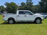 Used 2013 Ford F150 XLT w/ Luxury Equipment Group image 2
