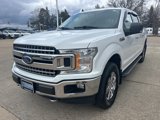 Used 2019 Ford F150 XLT w/ Equipment Group 302A Luxury image 3