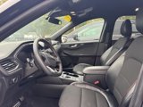 Used 2023 Ford Escape ST-Line image 4