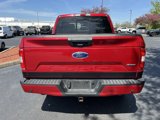 Used 2020 Ford F150 XLT w/ Equipment Group 302A Luxury image 4