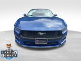 Used 2024 Ford Mustang Premium image 3