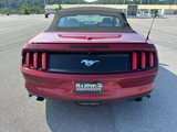 Used 2015 Ford Mustang Premium image 5