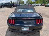 Used 2016 Ford Mustang Premium image 4
