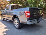 Used 2019 Ford F150 XLT w/ Equipment Group 302A Luxury image 3