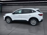 Used 2025 Ford Escape Active w/ Cold Weather Package image 5