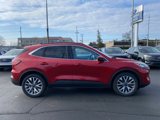 Certified 2020 Ford Escape Titanium image 4