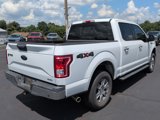 Used 2015 Ford F150 XLT w/ Equipment Group 302A Luxury image 3