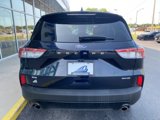 Used 2021 Ford Escape SE w/ SE Sport Appearance Package image 4