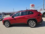 Used 2020 Toyota RAV4 XLE Premium image 2