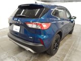 Used 2020 Ford Escape SE Sport image 6