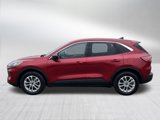 Used 2022 Ford Escape SE w/ Convenience Package image 4