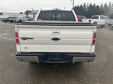 Used 2013 Ford F150 King Ranch w/ King Ranch Luxury Pkg image 4