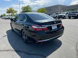 Used 2017 Honda Accord Sport Special Edition image 5