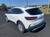 Used 2024 Ford Escape Active image 3