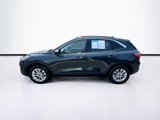 Used 2022 Ford Escape SE w/ Convenience Package image 4