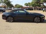 Used 2022 Ford Mustang Premium image 5