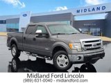 Used 2013 Ford F150 XLT w/ Trailer Tow Pkg image 1