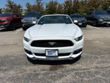 Used 2015 Ford Mustang Convertible w/ Equipment Group 051A image 3