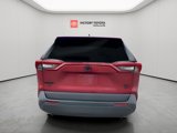 Used 2019 Toyota RAV4 XLE Premium image 5