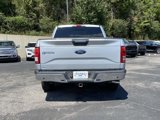 Used 2016 Ford F150 XLT w/ Equipment Group 302A Luxury image 6