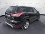 Used 2014 Ford Escape Titanium image 4