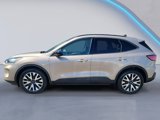 Used 2020 Ford Escape SE Sport image 6