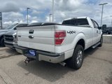 Used 2014 Ford F150 XLT w/ Equipment Group 302A Luxury image 5