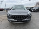 Used 2021 Ford Escape SE image 5