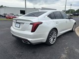 Used 2020 Cadillac CT5 Premium Luxury w/ Parking Package image 4