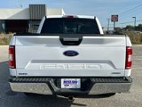 Certified 2020 Ford F150 XLT w/ Equipment Group 302A Luxury image 3