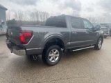 New 2024 Ford F150 XLT w/ Equipment Group 302A MID image 5