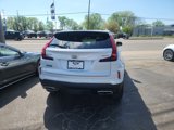 Used 2024 Cadillac XT4 Premium Luxury image 5